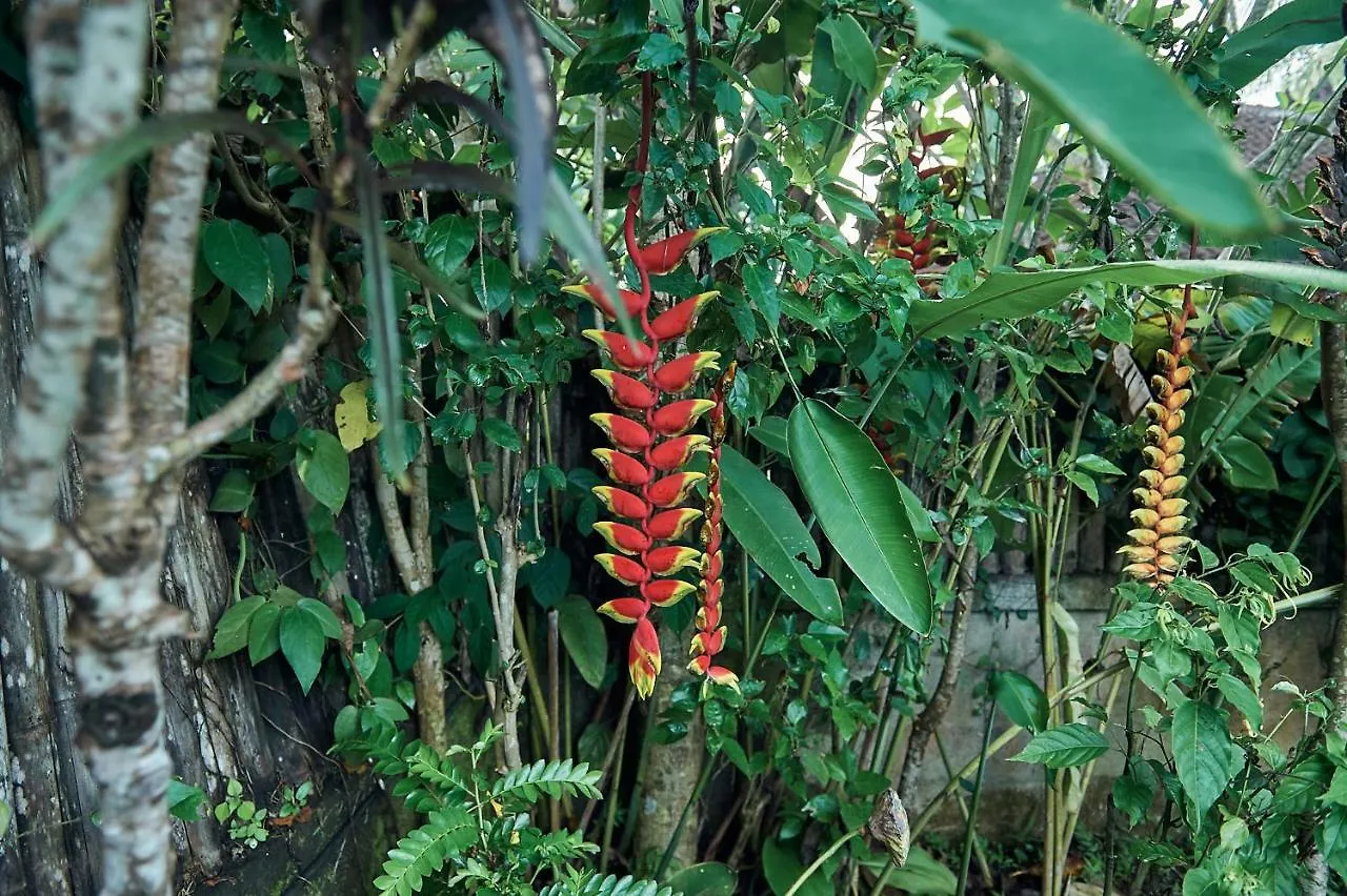 Kro Lembah Sentosa Hotel Ubud